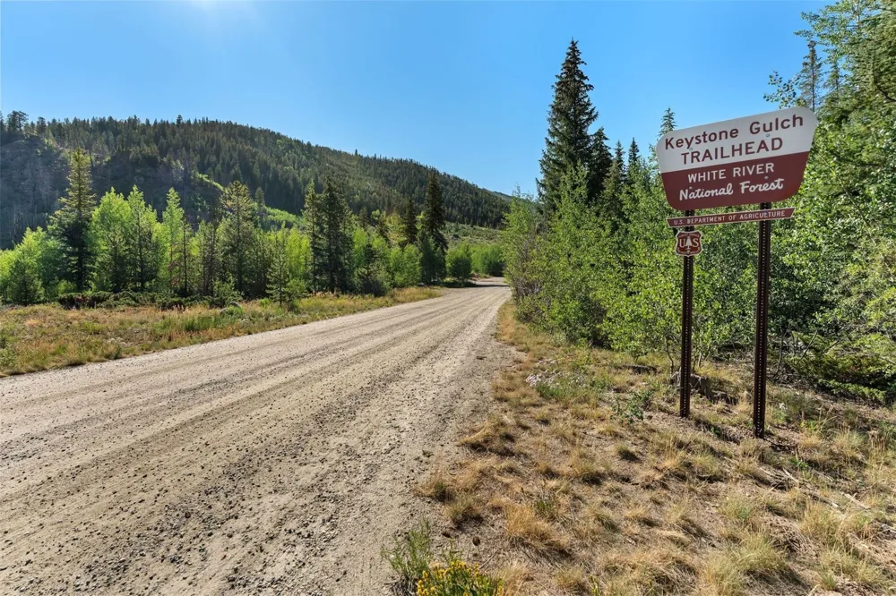 402 Wild Irishman Road #1916 Keystone, CO 80435