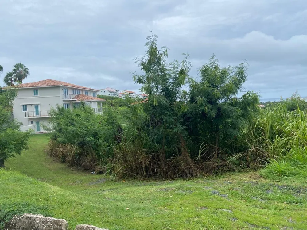 6000 RIO MAR BOULEVARD #Lot 53 Rio Grande, PR 00745