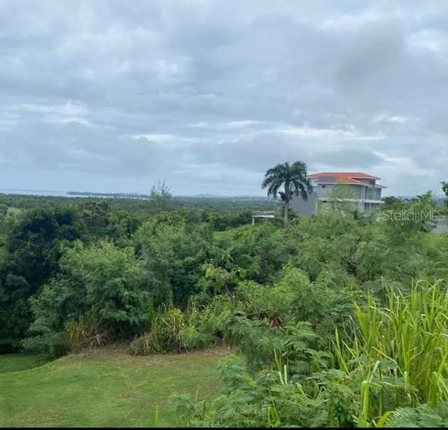 6000 RIO MAR BOULEVARD #Lot 53 Rio Grande, PR 00745