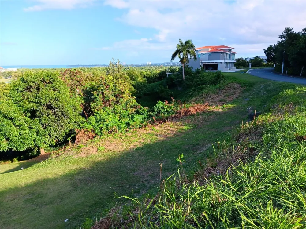 6000 RIO MAR BOULEVARD #Lot 53 Rio Grande, PR 00745