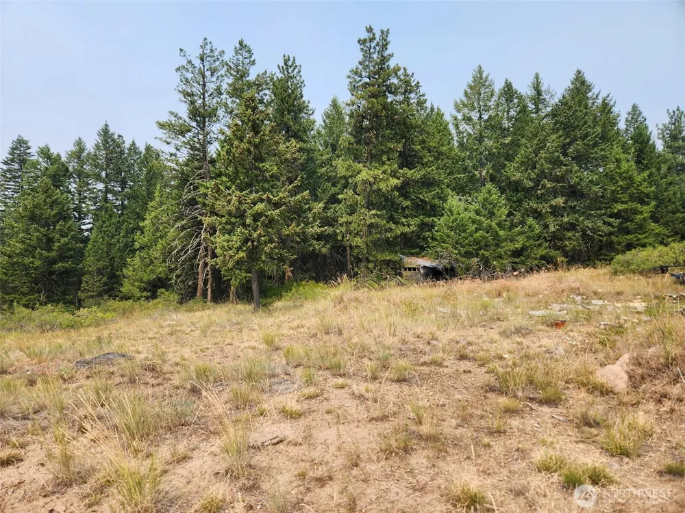 250 Union Ridge Road Republic, WA 99166