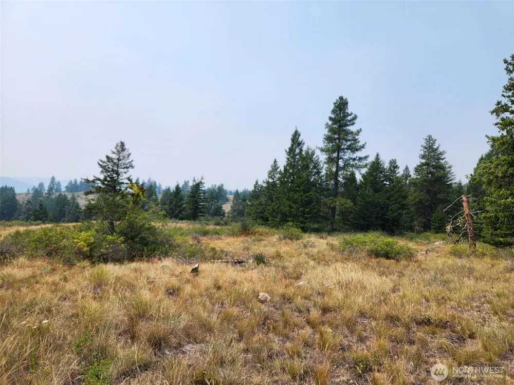 250 Union Ridge Road Republic, WA 99166