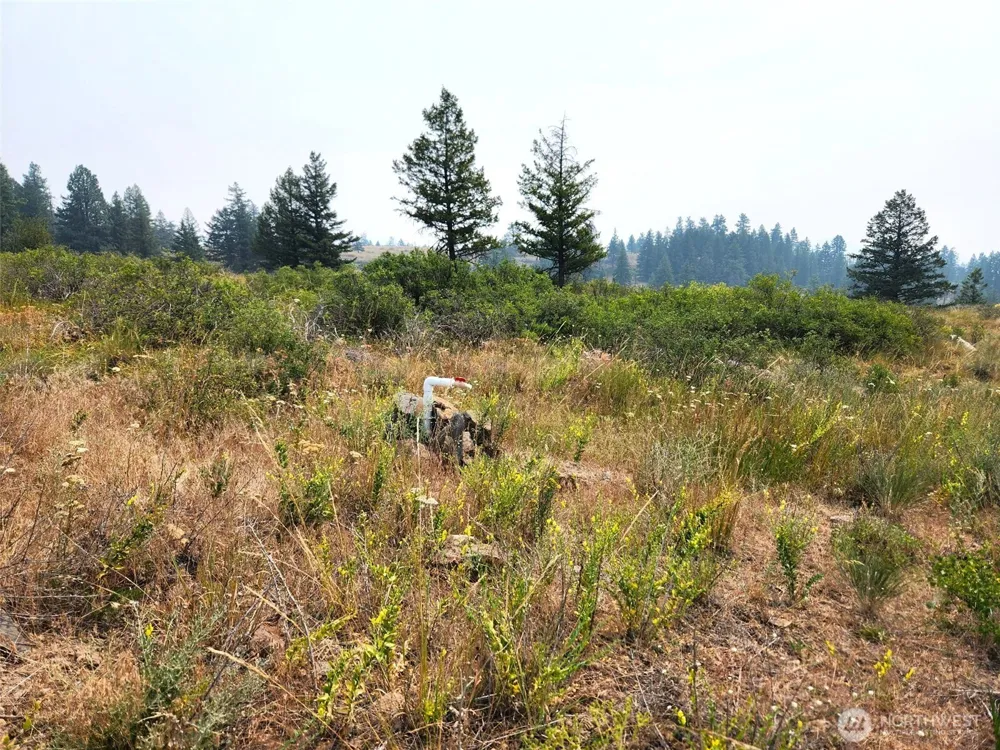 250 Union Ridge Road Republic, WA 99166