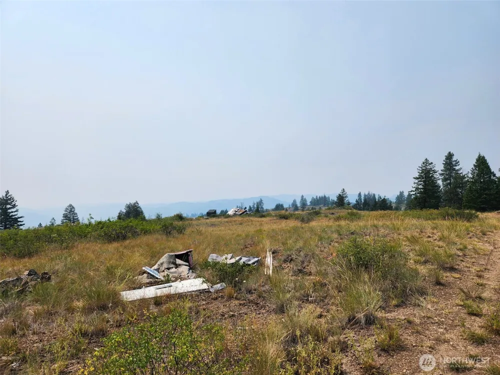 250 Union Ridge Road Republic, WA 99166