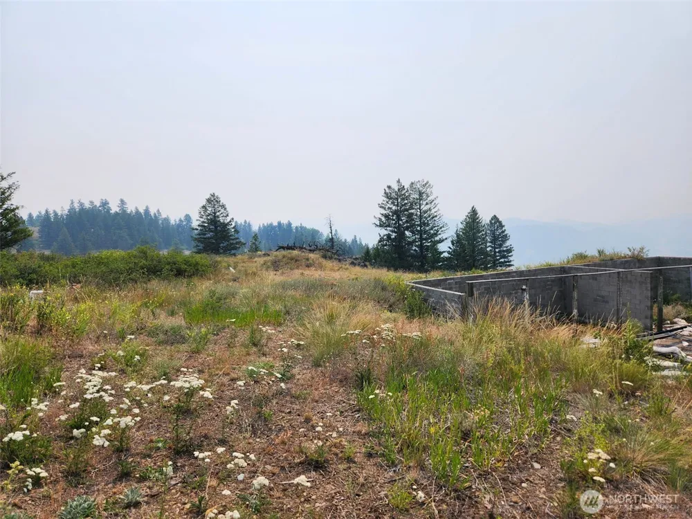 250 Union Ridge Road Republic, WA 99166
