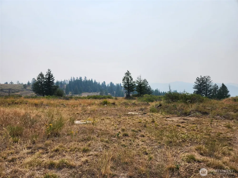 250 Union Ridge Road Republic, WA 99166