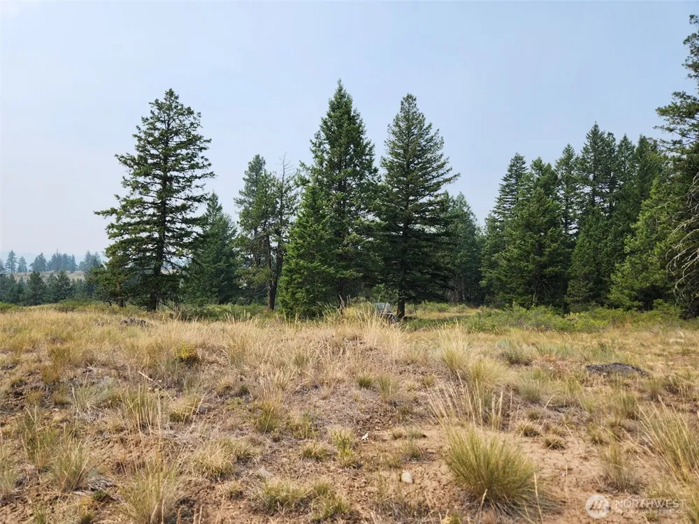 250 Union Ridge Road Republic, WA 99166