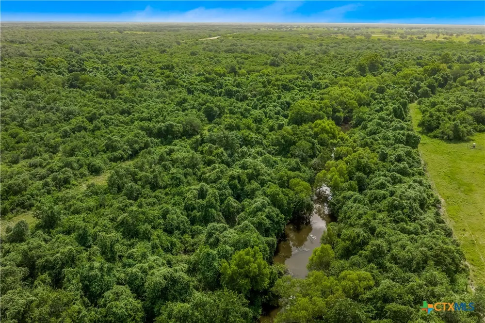 McGuill Rd. Goliad, TX 77963