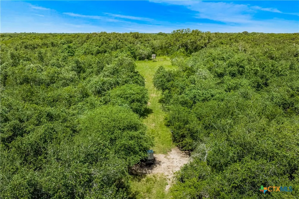 McGuill Rd. Goliad, TX 77963