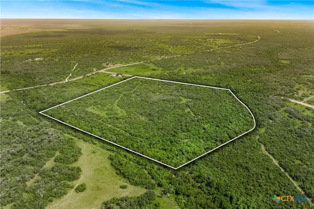 McGuill Rd. Goliad, TX 77963