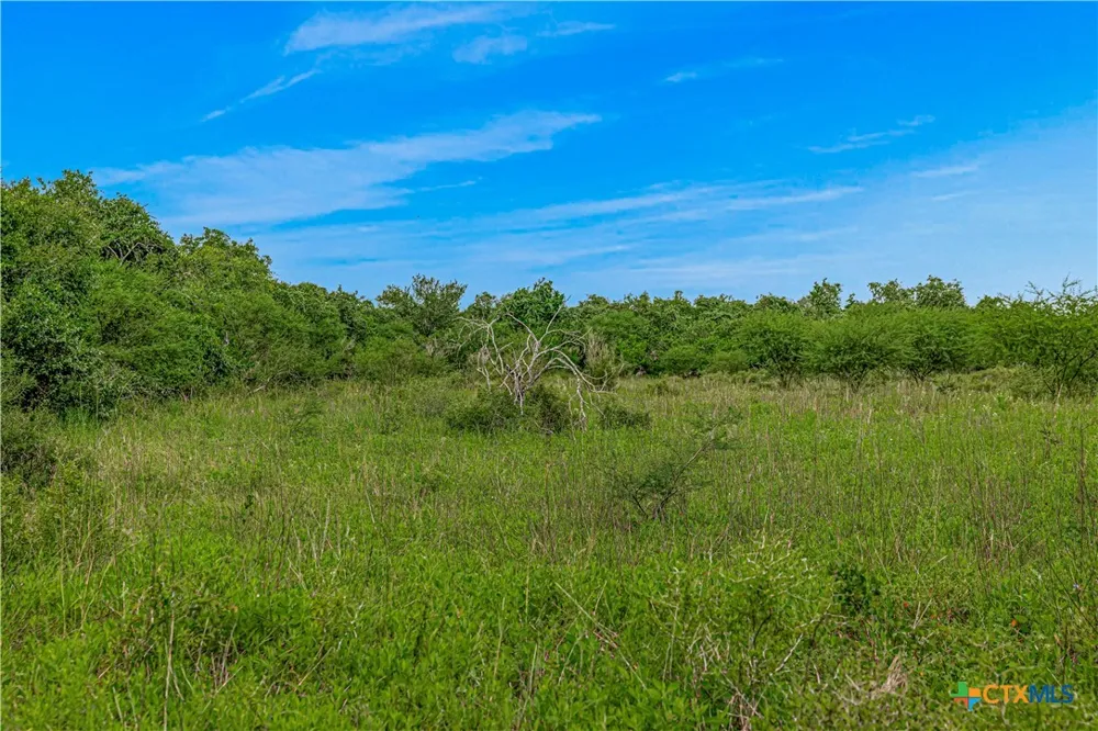 McGuill Rd. Goliad, TX 77963