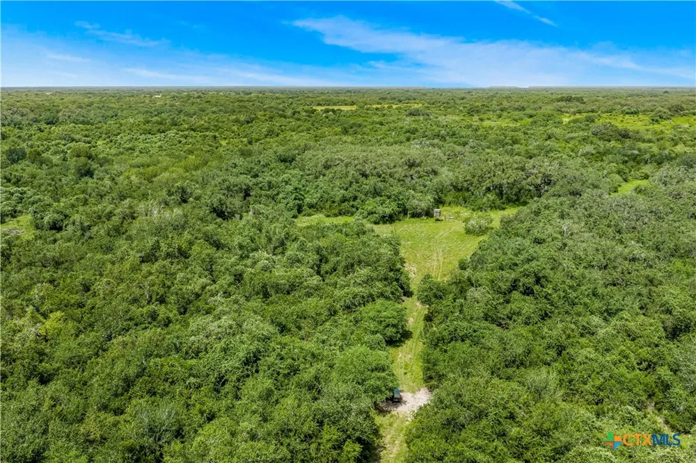 McGuill Rd. Goliad, TX 77963