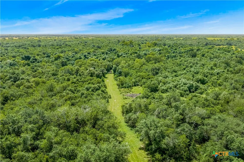 McGuill Rd. Goliad, TX 77963