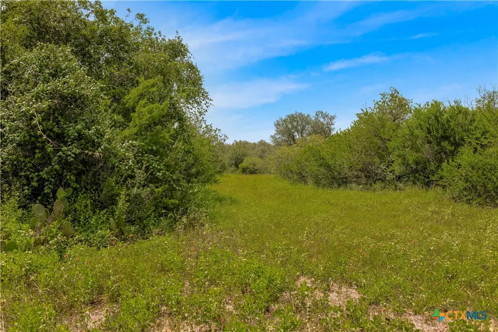 McGuill Rd. Goliad, TX 77963
