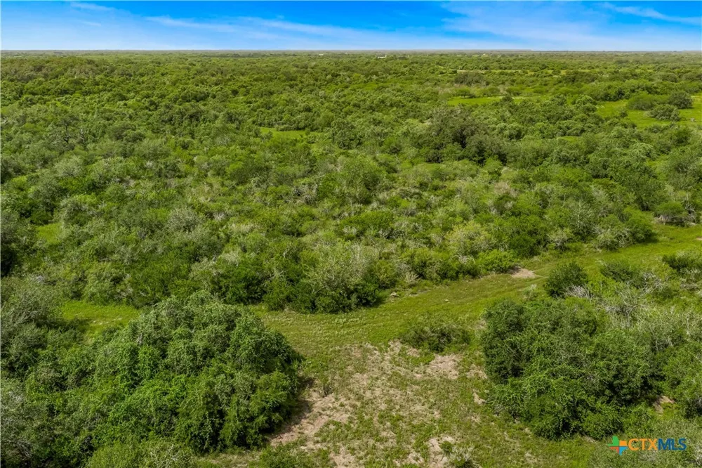 McGuill Rd. Goliad, TX 77963