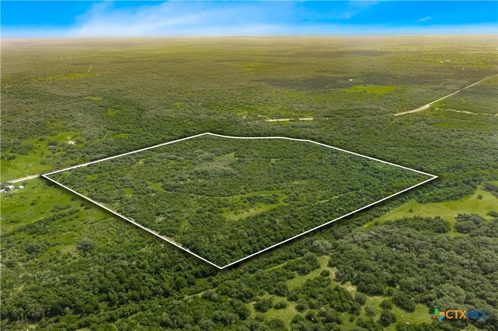 McGuill Rd. Goliad, TX 77963