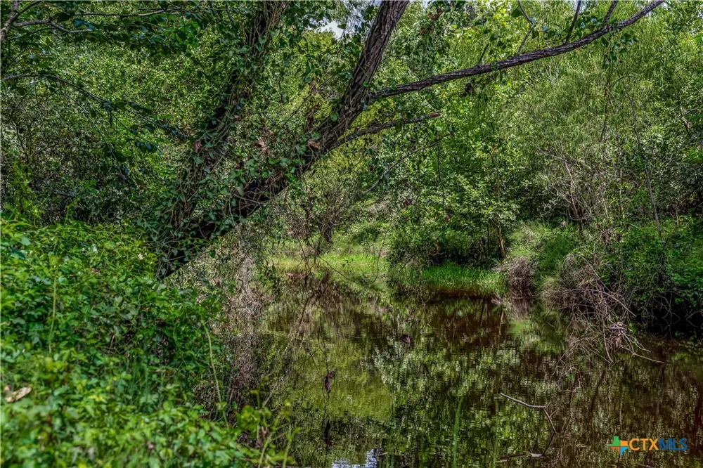 McGuill Rd. Goliad, TX 77963