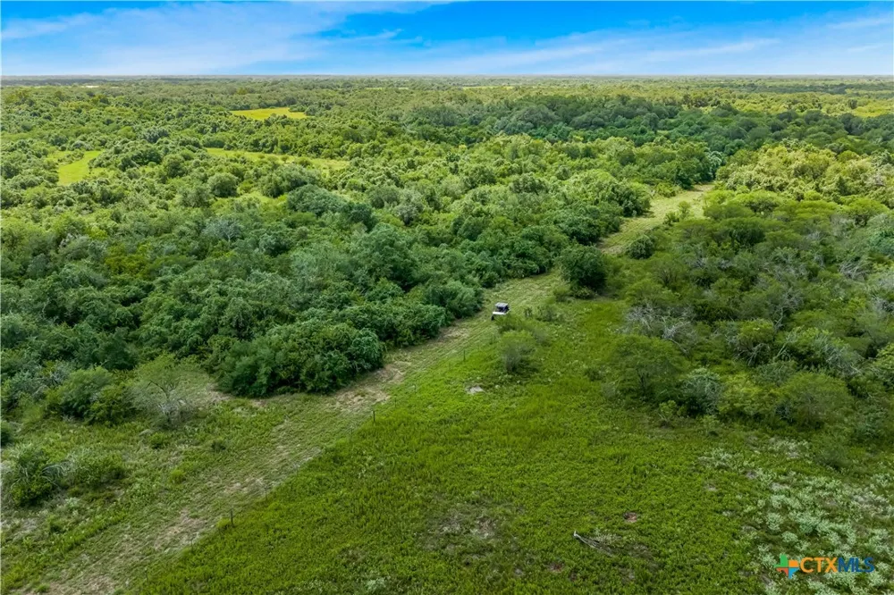 McGuill Rd. Goliad, TX 77963