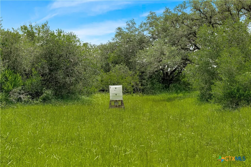 McGuill Rd. Goliad, TX 77963