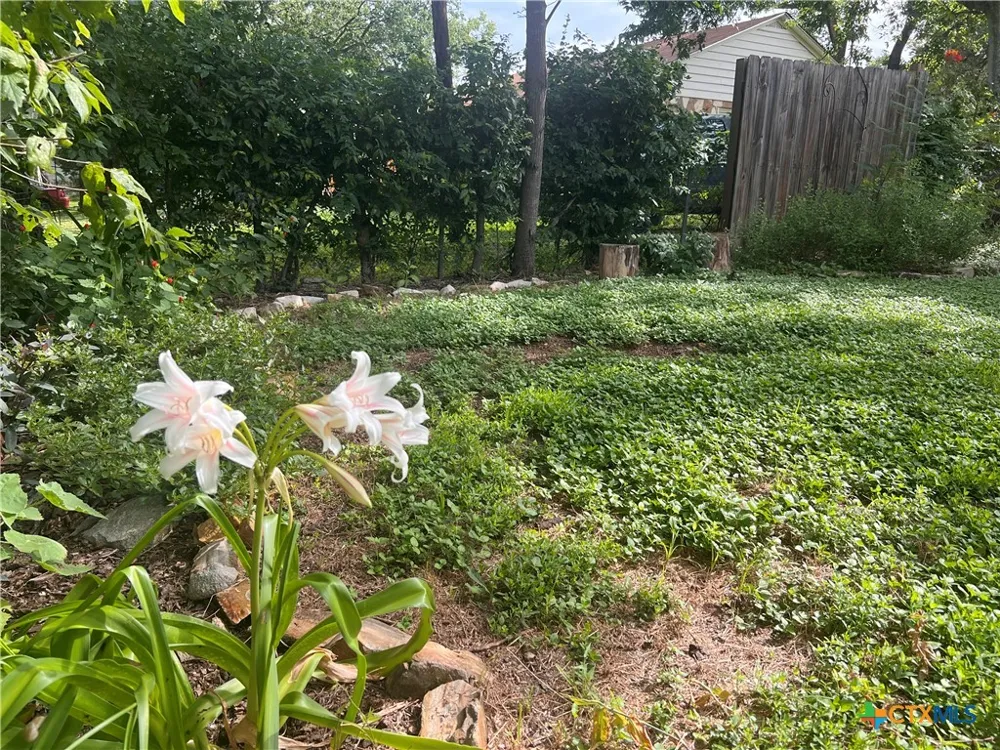 3080 S State Highway 123 Seguin, TX 78155