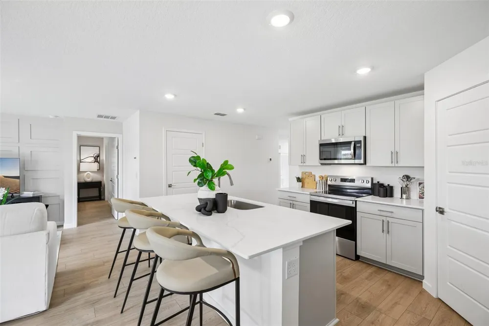 231 SKYFIELD COURT Lady Lake, FL 32159