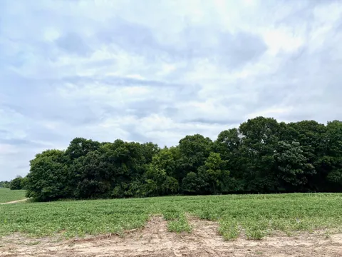 TBD (L10B2) County Road 5 NW