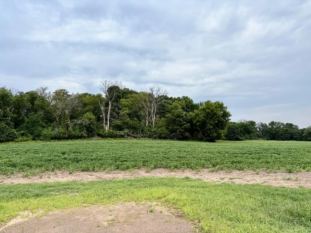 TBD (L11B2) County Road 5 NW Isanti, MN 55040