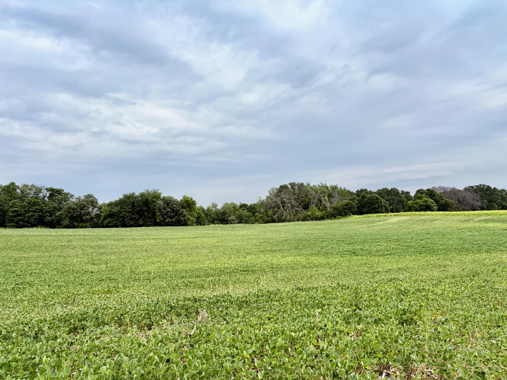 TBD (L13B2) County Road 5 NW Isanti, MN 55040