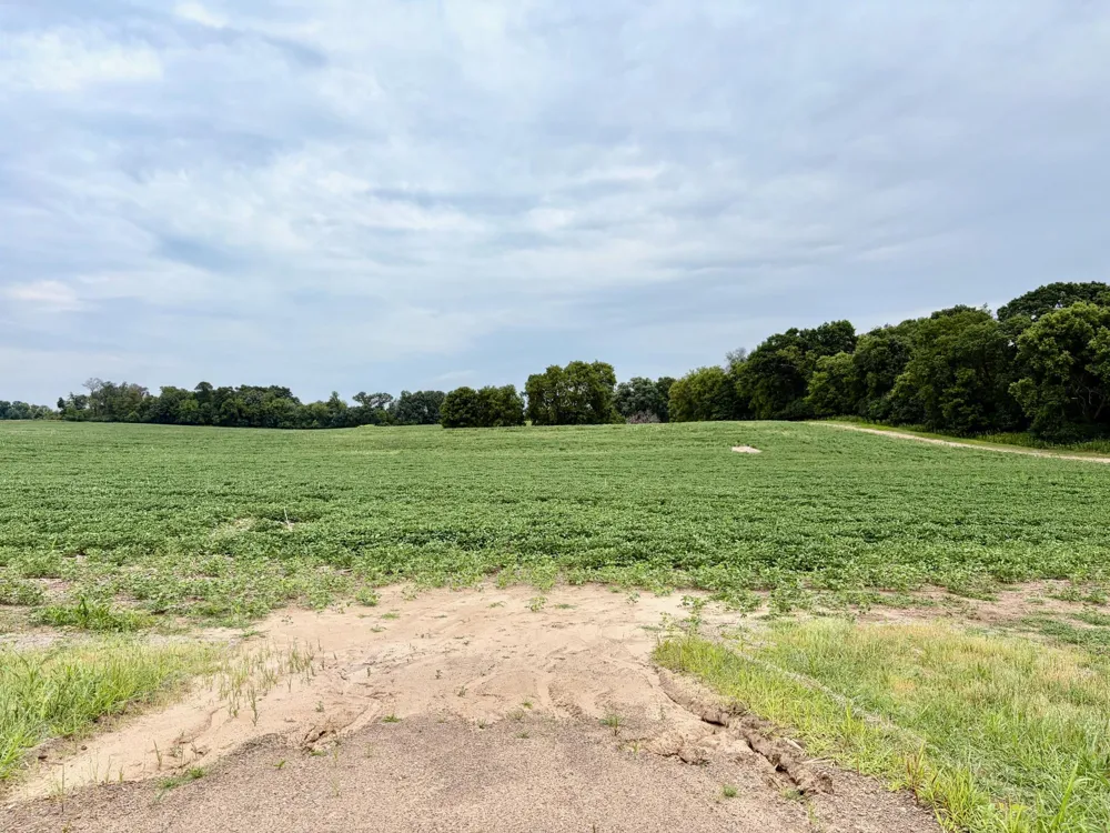 TBD (L9B2) County Road 5 NW Isanti, MN 55040