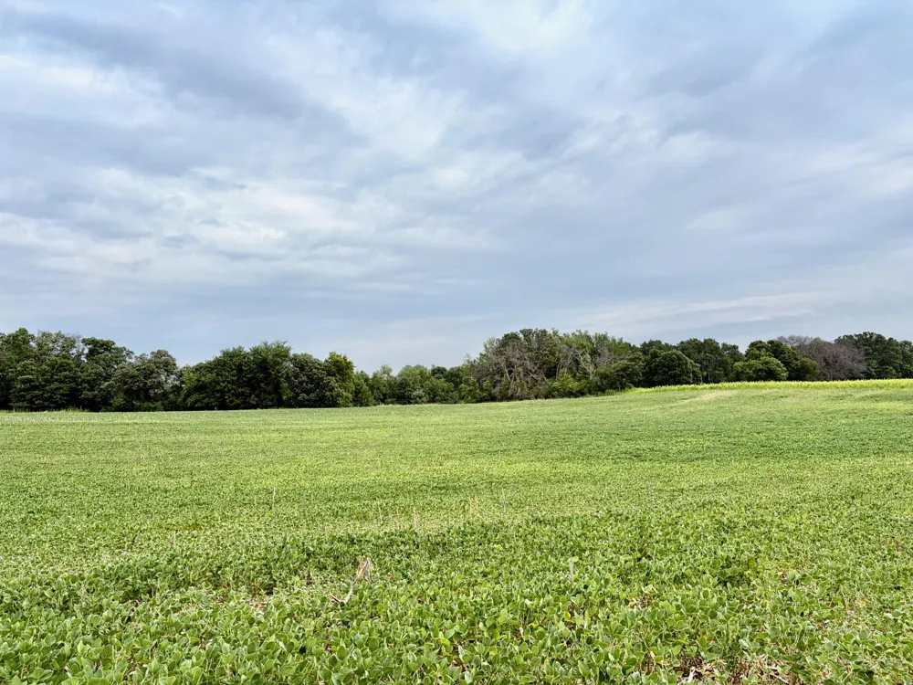 TBD (L12B2) County Road 5 NW Isanti, MN 55040
