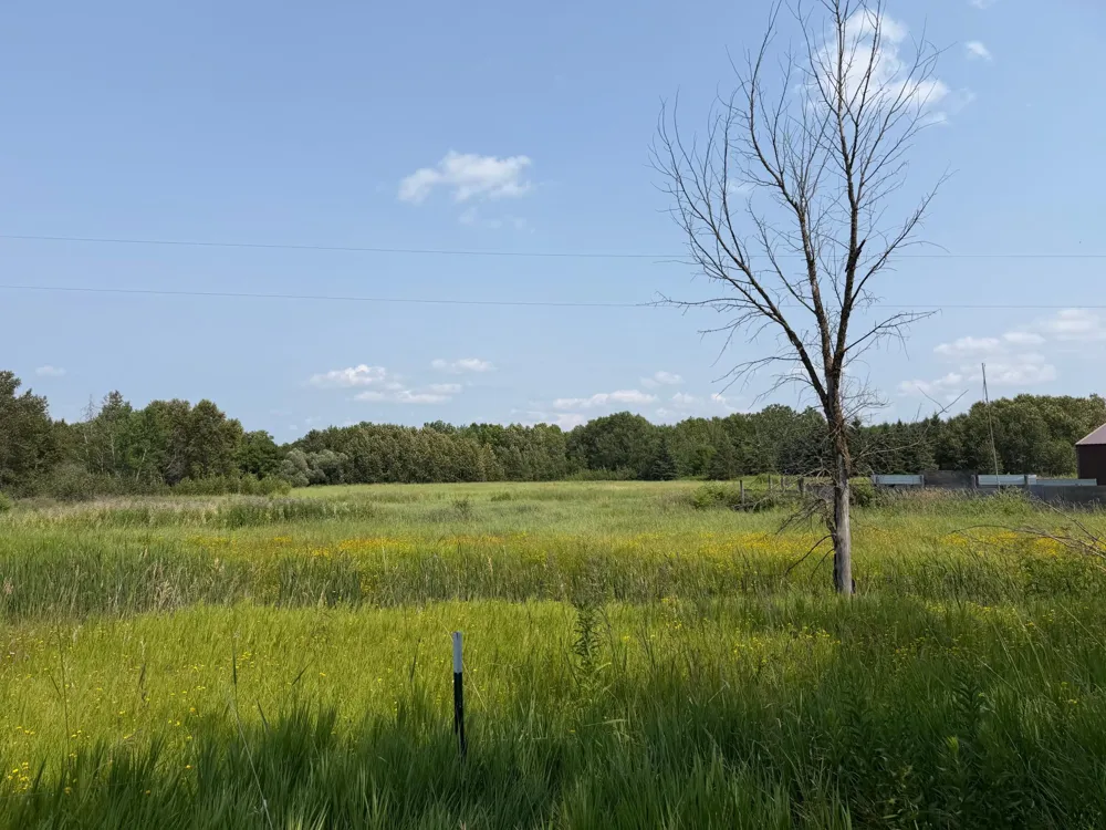 1985 63rd Street SW Baudette, MN 56623
