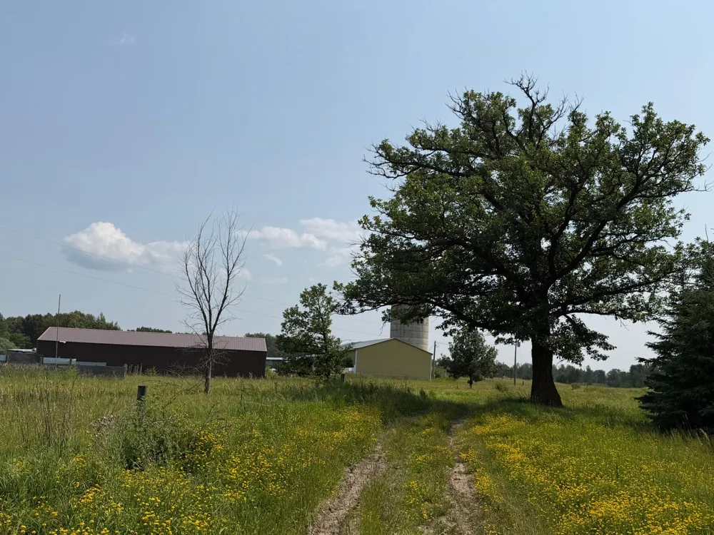 1985 63rd Street SW Baudette, MN 56623