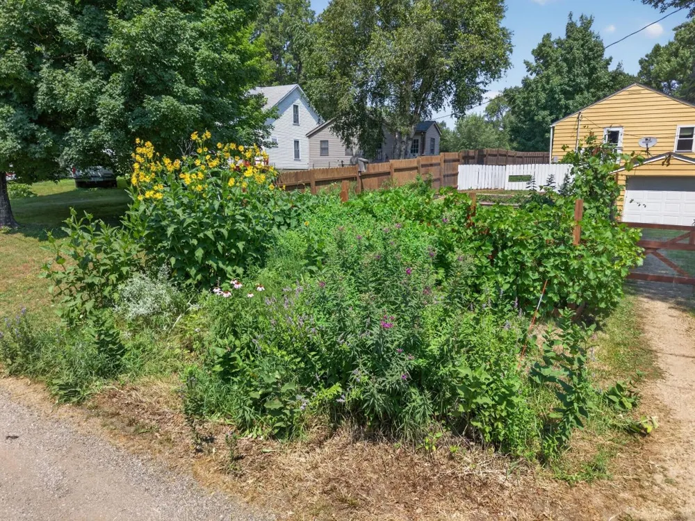 319 W Douglas Avenue Fergus Falls, MN 56537