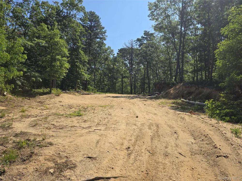 Manor Yaphank Road Manorville, NY 11949
