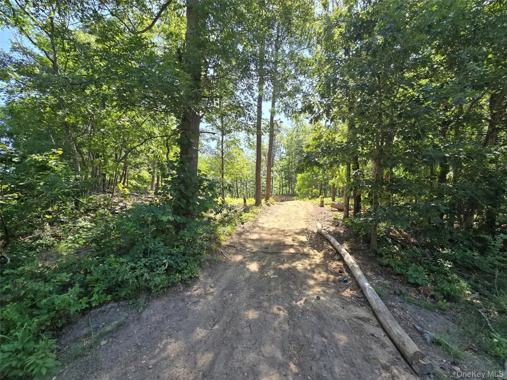 Manor Yaphank Road Manorville, NY 11949