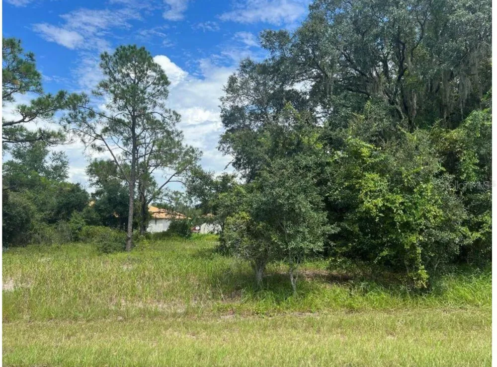 1336 HILLSBOROUGH COURT Poinciana, FL 34759