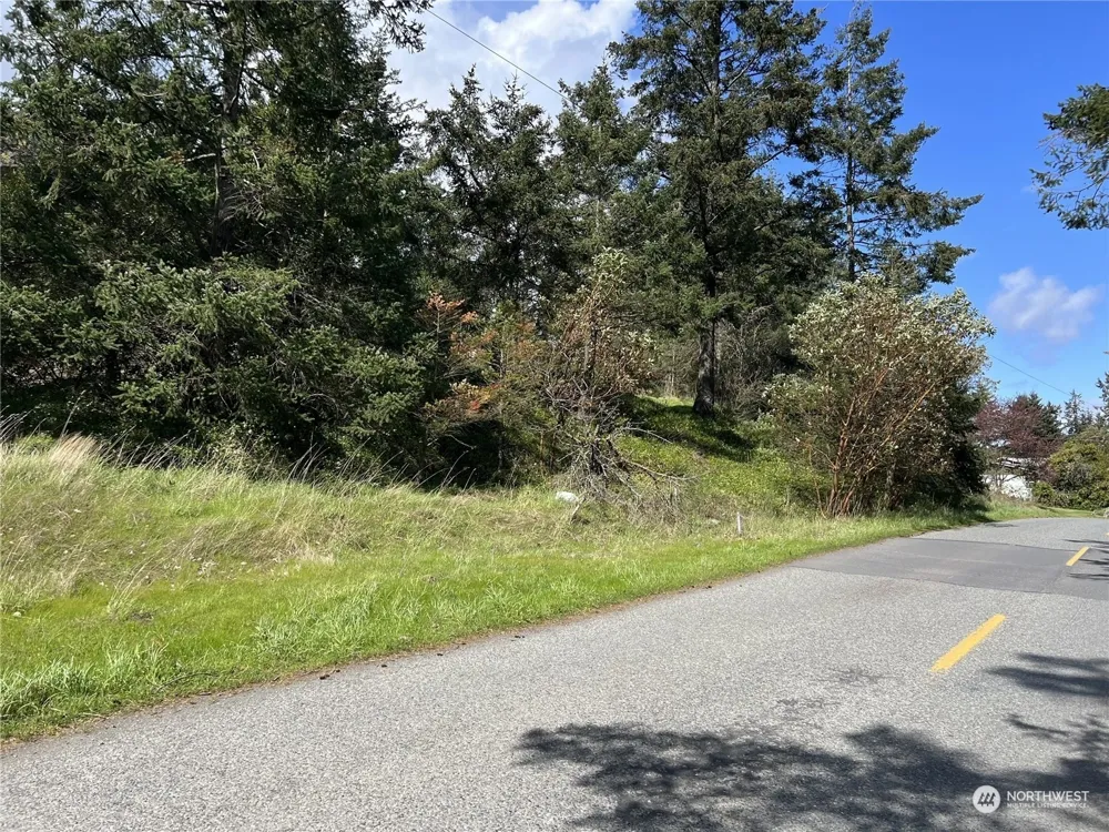 385 Marguerite Place Friday Harbor, WA 98250