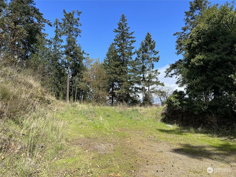 385 Marguerite Place Friday Harbor, WA 98250