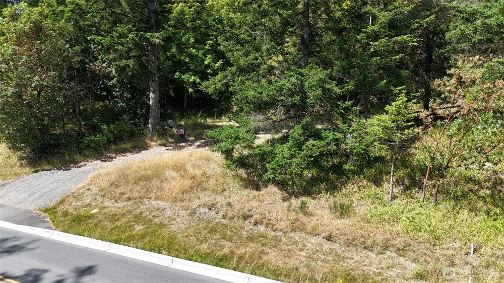 385 Marguerite Place Friday Harbor, WA 98250