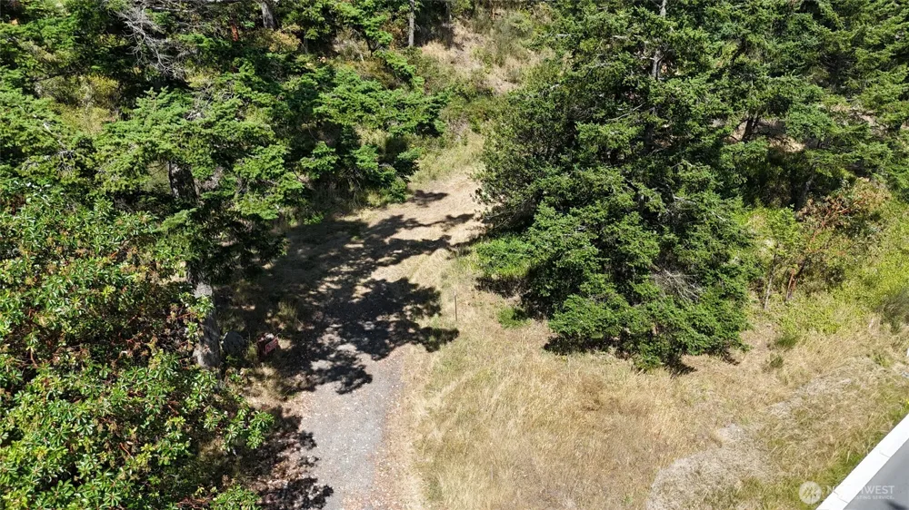 385 Marguerite Place Friday Harbor, WA 98250