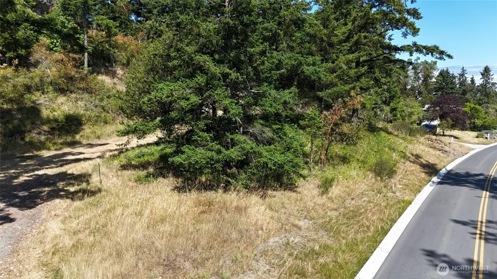 385 Marguerite Place Friday Harbor, WA 98250