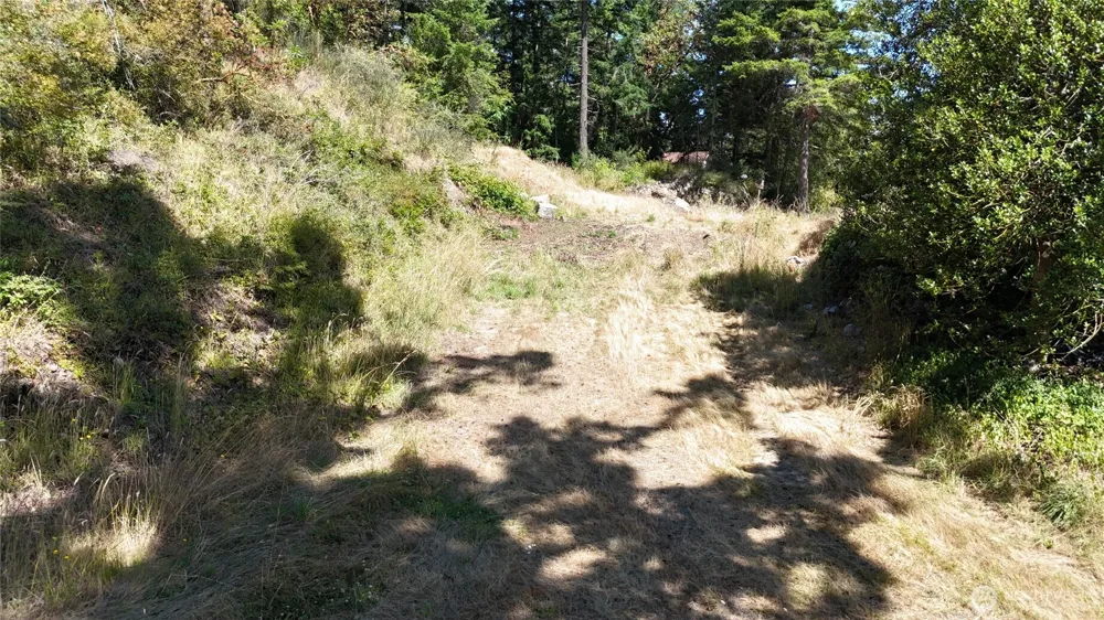 385 Marguerite Place Friday Harbor, WA 98250