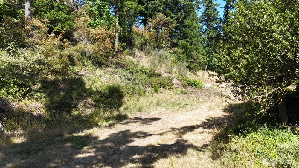 385 Marguerite Place Friday Harbor, WA 98250