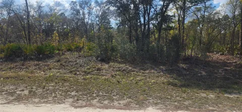 18043 RAMSEY ROAD