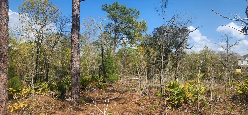 18043 RAMSEY ROAD Weeki Wachee, FL 34614