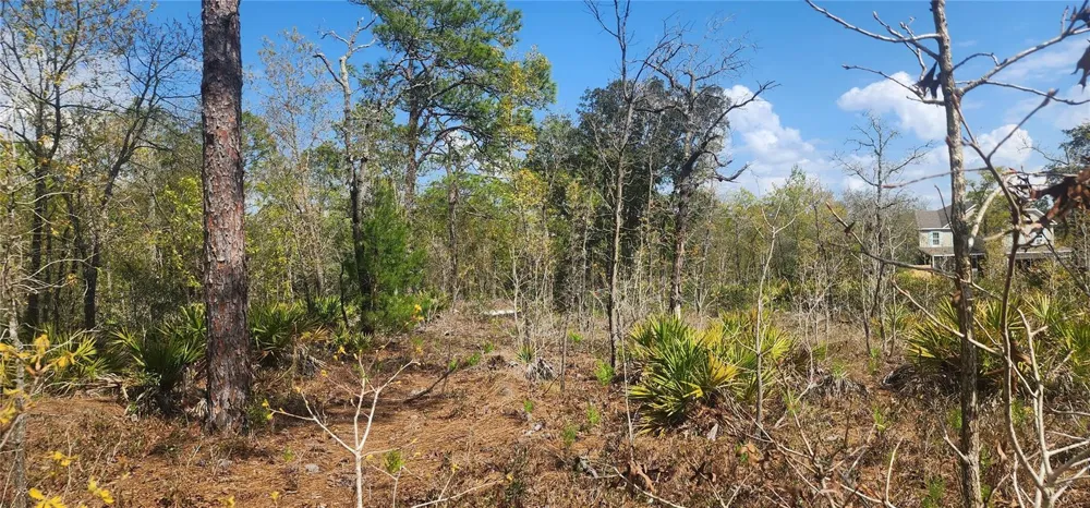 18043 RAMSEY ROAD Weeki Wachee, FL 34614