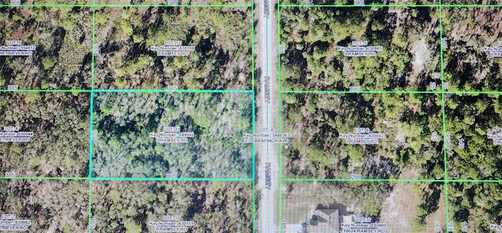 18043 RAMSEY ROAD Weeki Wachee, FL 34614