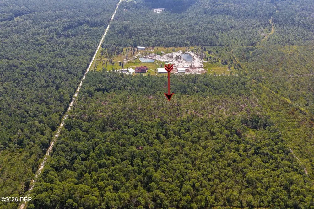 00 NINEMILE POINT ROAD Pierson, FL 32180