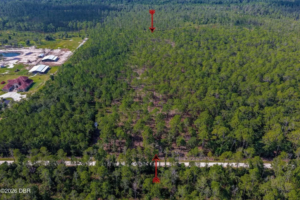 00 NINEMILE POINT ROAD Pierson, FL 32180