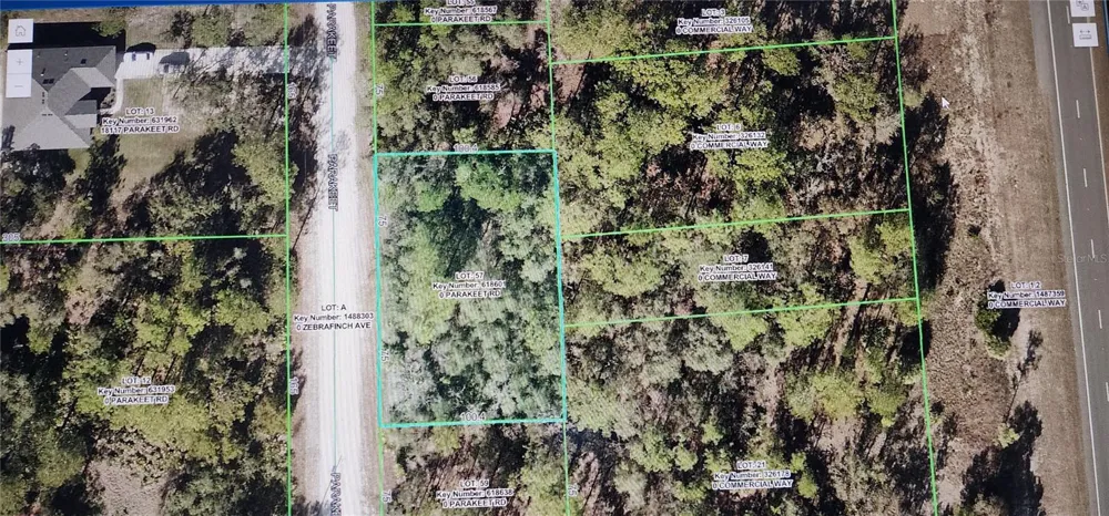 18106 PARAKEET ROAD Brooksville, FL 34614